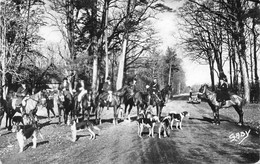 LE GAVRE   -  Lot De 3 Cartes De Chasse à Courre   -  Chasseurs, Vénerie, Chien, Meute, Chevaux - Le Gavre