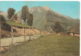 CPSM 65 D ESTAING à ARRENS LE COL DE BORDERES  Dos Vierge - Borderes Louron