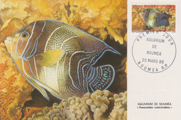 Carte  Maximum  1er  Jour   NOUVELLE CALEDONIE   Aquarium  De  NOUMEA   Faune  Marine   1988 - Cartoline Maximum
