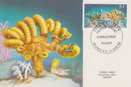 Carte  Maximum  1er  Jour   NOUVELLE CALEDONIE   Faune  Marine   Fossile  Vivant   1988 - Tarjetas – Máxima