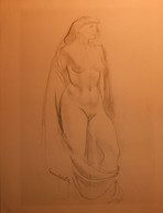 Dessin De Nu. Belle Reproduction De 1946. Femme De Trois-quart Drapée. Souverbie. - Dessins