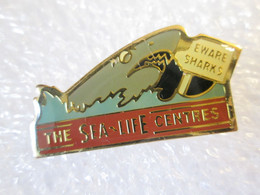 PIN'S    ANIMAUX  REQUIN SHARK  THE SEA LIFE CENTRES - Animaux