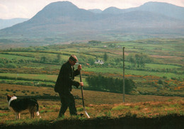CPM - CONNEMARA - Cutting The Turf Near Clifden ... Edition Real Ireland - Galway