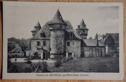 15 : Château De Sourniac Près Mauriac - (n°24944) - Mauriac