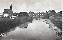 BOURGNEUF - ( 44 ) - Vue Générale  ( C. P. S. M -Pt -Ft   ) - Bourgneuf-en-Retz