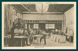 * Institut Agricole De SANDAR - LIMONEST - Atelier Du Bois - Ouvriers - Animée - Machine - Limonest