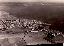 34 MEZE ETANG DE THAU MONTPELLIER HERAULT - Mèze