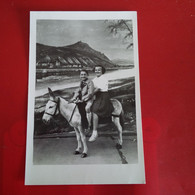 CARTE PHOTO ANE PHOTO MONTAGE - Burros