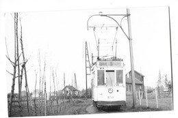 HAMME (Belgique) Photographie Format Cpa Tramway électrique 1950 - Hamme