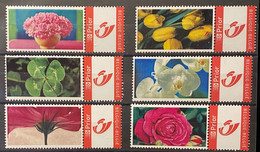 My Stamps Bloemen 6 Zegels - Altri & Non Classificati