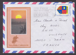 NOUVELLE-CALEDONIE ENVELOPPE AERIENNE ILLUSTREE 1989 - Cartas & Documentos