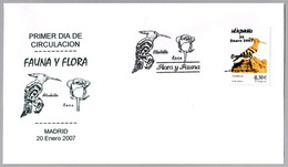 ABUBILLA - HOOPOE - HUPPE FASCIEE. FDC Madrid 2007 - Mechanical Postmarks (Advertisement)