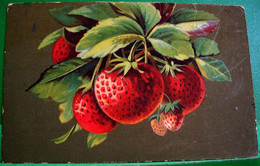 Cpa FRUITS , JOLIES FRAISES , FRAISIER , SERIE ARTISTICA  VELLUTO . T.A.M . STRAWBERRIES WITH LEAVES - Geneeskrachtige Planten