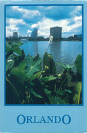 Postcard USA FL Orlando Lake Scene 1992 - Orlando