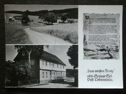 AK SCHÖNBRUNN-GRÜNER ESEL Gasthaus Zum Weißen Trutz 1989 Saalburg-Ebersdorf - Ebersdorf