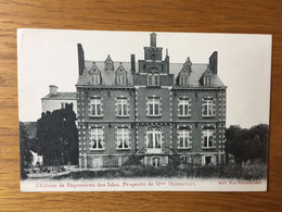 Deux-Acren  Lessines  Château De Bagenrieux Des Isles Propriété De Mme Hannecart   KASTEEL  CHATEAU - Lessines