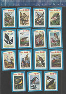 FORT VOGELS - OISEAUX (BIRDS)  MATCHBOX LABELS BELGIUM - Zündholzschachteletiketten