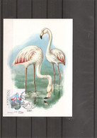 Flamants ( CM Du Portugal De 1982 à Voir) - Flamants