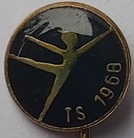 TS 1968 Czech Gymnastic Federation Association Union  PIN A12/6 - Natación