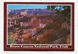 AK 095028 USA - Utah - Bryce Canyon National Park - Bryce Canyon