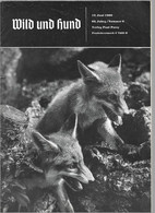 Revue Wild Und Hund  **  Chasse   **  1960 ***  **** Renard - Sports