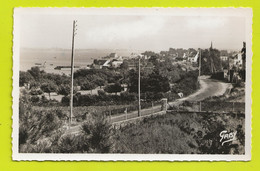 56 LOCMARIAQUER N°5 Vue Panoramique Sur Le Golfe VOIR DOS En 1951 - Locmariaquer