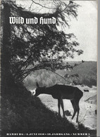 Revue Wild Und Hund  **  Chasse   **  1956***  ****   Renards *** Sangliers - Deportes