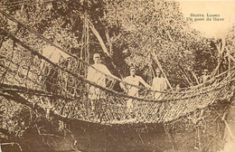 Sierra Leone - Pont De Liane - Sierra Leone