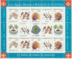 WALLIS Et FUTUNA - BLOC N°17 ** (2004) Plantes Marines - Blocs-feuillets