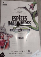 Affiche Anatomie Comparée Des Espèces Imaginaires Montbéliard 2022 (Mon Voisin Totoro... - Affiches & Posters