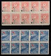 0225- ARGENTINA -B.O.B- PANE TB SHEETS 1939 AND 1945 -CHRISTMAS - Collections, Lots & Séries