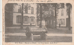 Diest, Marché AuBétail, Le Vieux Canon , 2 Scans - Diest