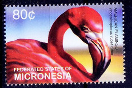 Micronesia 2003 MNH, American Flamingo, Water Birds - Flamingo