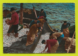 Port De Pêche De Bretagne N°1018 Pêcheurs Retour Pêche Bateaux Sardiniers Filets Remplis De Sprats VOIR DOS - Pêche