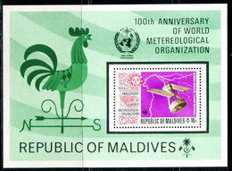 RB0009 Maldives 1974 International Meteorological Year Satellite, Etc M MNH - Malediven (1965-...)