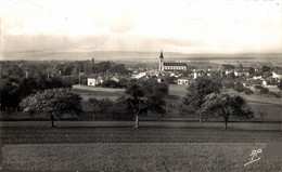 N°101145 -cpsm Rosny Sur Seine -vue Générale- - Rosny Sur Seine