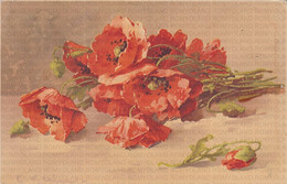 CARTOLINA  FIORI-PIANTE-ALBERI-ROSA-PETUNIA-VIOLA-ORTENSIA-TULIPANO-LAVANDA-GAROFANO,VIAGGIATA 1909 - Flowers