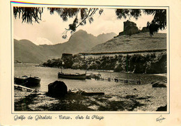 Osani * Le Golfe De Girolata * Sur La Plage * Corse Du Sud 2A - Andere & Zonder Classificatie