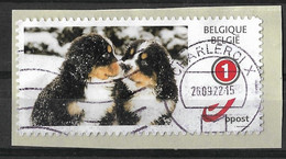 MyStamp: Chiens°. - Used