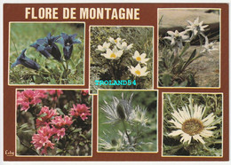 CP, Flore Des Montage, Anémone, Edelweiss, Carline, Chardon Bleu, Rhododendron, éditions EDY - Flowers