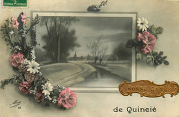 Quincié * Souvenir Du Village * Carte Photo * Bonne Année - Other & Unclassified