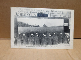 BLOIS (41) Carte Publicitaire LEROY Et CRIL Marchands De Semences Grains - Blois