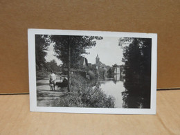 SAINT LOUP SUR SEMOUSE (70) Carte Photo Rivière Vue De L'église Animation - Saint-Loup-sur-Semouse