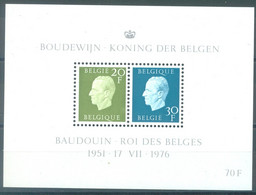 BELGIUM - 1976 - MNH/**.- DENTELURE DECALEE FOUTIEF GESNEDEN COB BL51 Cu - Lot 25424 - Sonstige & Ohne Zuordnung