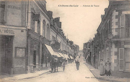 Château Du Loir          72        Avenue De Tours   .  Hôtel        (voir Scan) - Chateau Du Loir