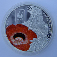 REPUBLIQUE CENTRAFRICAINE 100 F 2015 RAFLESIA KEITHII FIORE FLOWER WWF SERIE PIANTE WEIGHT 25g CONSERVAZIONE FONDO SPECC - Centraal-Afrikaanse Republiek