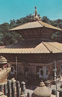 Népal  Temple Pashupatinath  Kathmandu  TBE - Népal