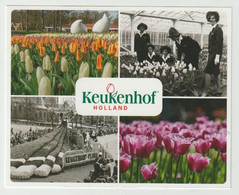 Postcard-ansichtkaart Keukenhof Holland Lisse (NL) - Lisse