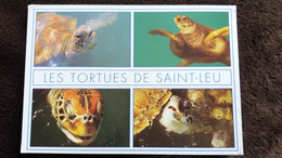 CPM LES TORTUES DE SAINT LEU ILE DE LA REUNION PHOTO AM BREGER ED CLIN D OEIL  TORTUE - Turtles