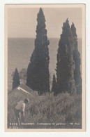 OSPEDALETTI - Real Photo Pc 1910/20s - Coltivazione Dei Garofani - FR. Photo - No 5525 - Imperia